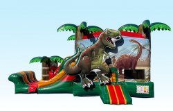 15x30 Dinosaur Combo Dry Slide:C-008