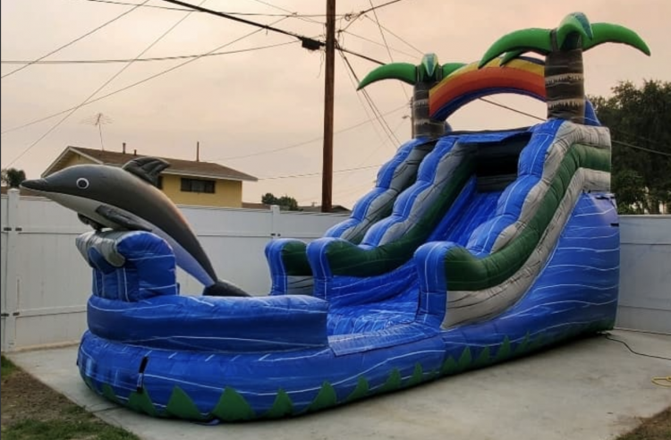 15' Tropical Dolphin Waterslide